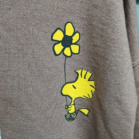 Peanuts Brown Hoodie with Woodstock Graphic - Picture 6 of 6